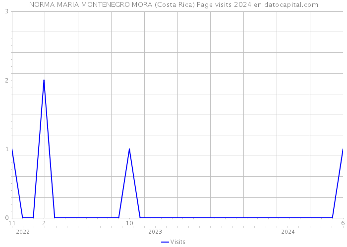 NORMA MARIA MONTENEGRO MORA (Costa Rica) Page visits 2024 