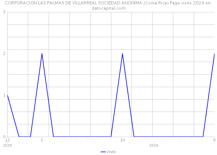 CORPORACION LAS PALMAS DE VILLARREAL SOCIEDAD ANONIMA (Costa Rica) Page visits 2024 