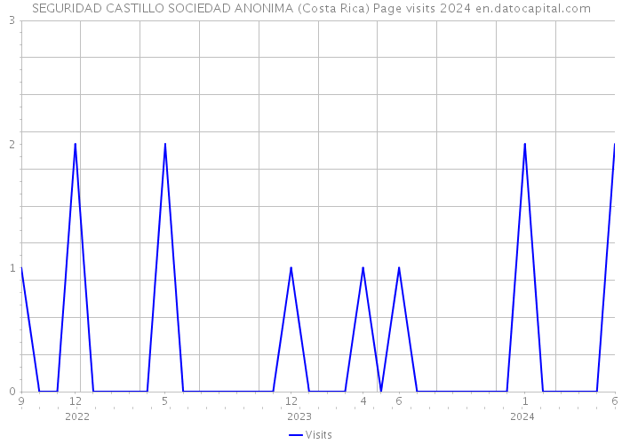 SEGURIDAD CASTILLO SOCIEDAD ANONIMA (Costa Rica) Page visits 2024 
