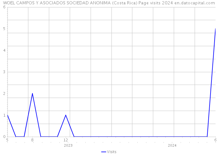 WOEL CAMPOS Y ASOCIADOS SOCIEDAD ANONIMA (Costa Rica) Page visits 2024 