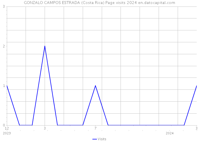 GONZALO CAMPOS ESTRADA (Costa Rica) Page visits 2024 