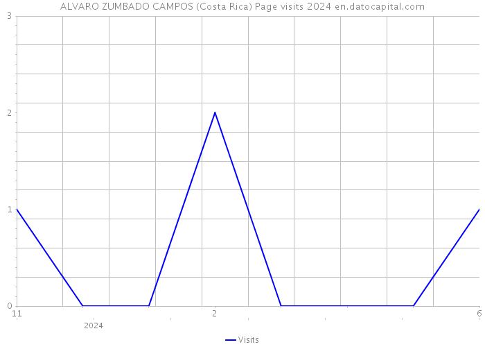 ALVARO ZUMBADO CAMPOS (Costa Rica) Page visits 2024 