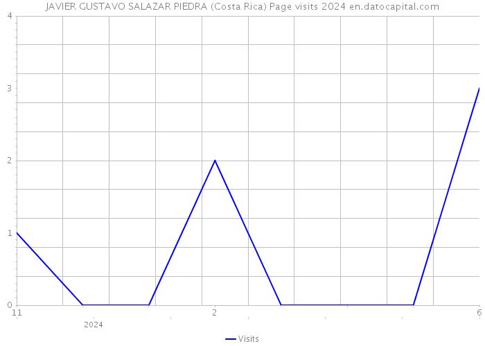 JAVIER GUSTAVO SALAZAR PIEDRA (Costa Rica) Page visits 2024 