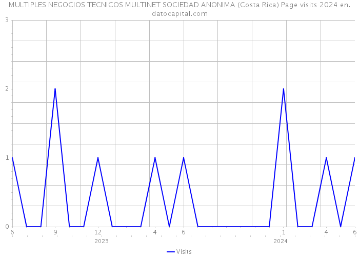 MULTIPLES NEGOCIOS TECNICOS MULTINET SOCIEDAD ANONIMA (Costa Rica) Page visits 2024 