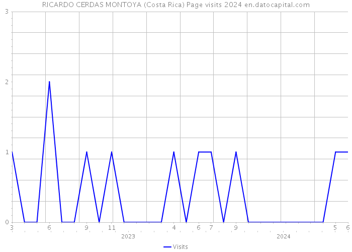RICARDO CERDAS MONTOYA (Costa Rica) Page visits 2024 
