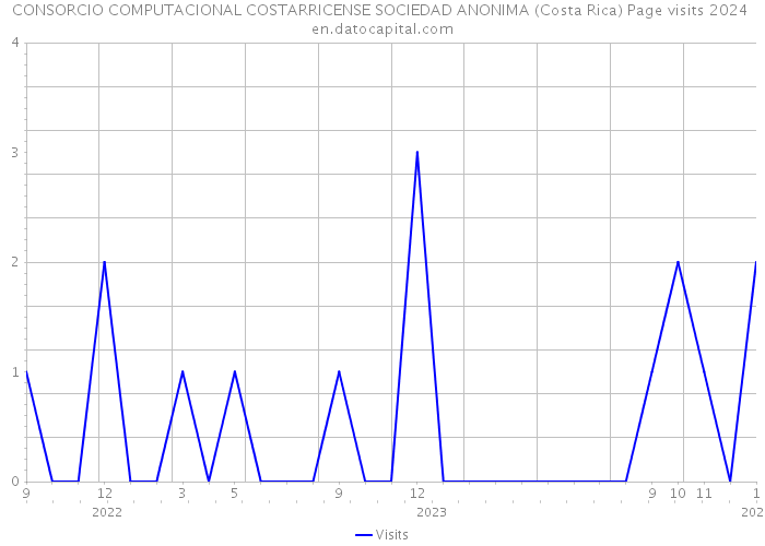 CONSORCIO COMPUTACIONAL COSTARRICENSE SOCIEDAD ANONIMA (Costa Rica) Page visits 2024 