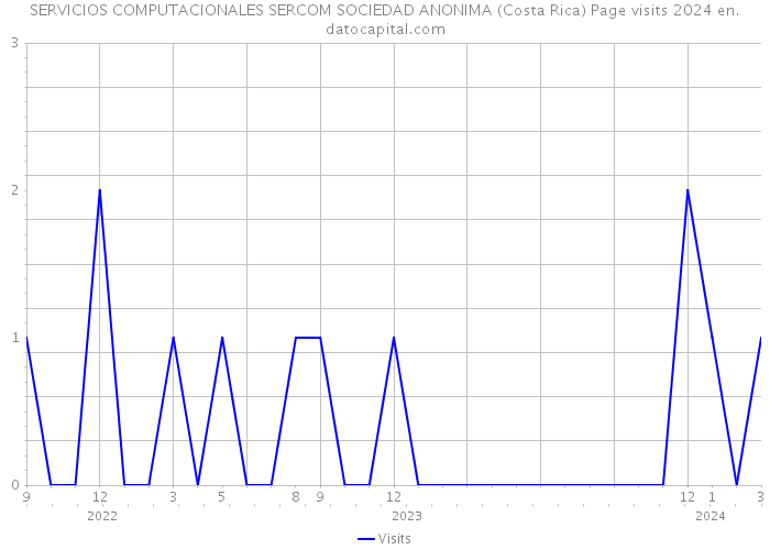 SERVICIOS COMPUTACIONALES SERCOM SOCIEDAD ANONIMA (Costa Rica) Page visits 2024 