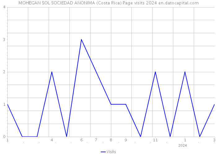 MOHEGAN SOL SOCIEDAD ANONIMA (Costa Rica) Page visits 2024 