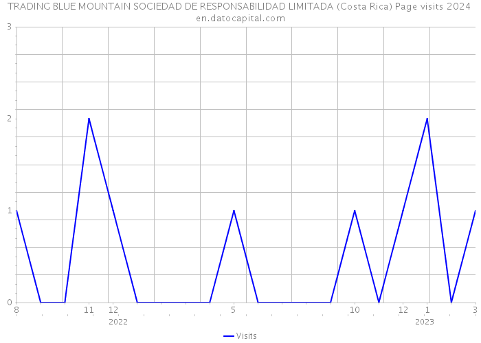 TRADING BLUE MOUNTAIN SOCIEDAD DE RESPONSABILIDAD LIMITADA (Costa Rica) Page visits 2024 