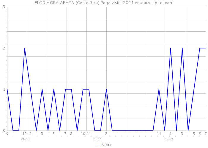 FLOR MORA ARAYA (Costa Rica) Page visits 2024 