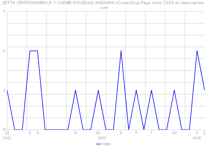 ZETTA CENTROAMERICA Y CARIBE SOCIEDAD ANONIMA (Costa Rica) Page visits 2024 