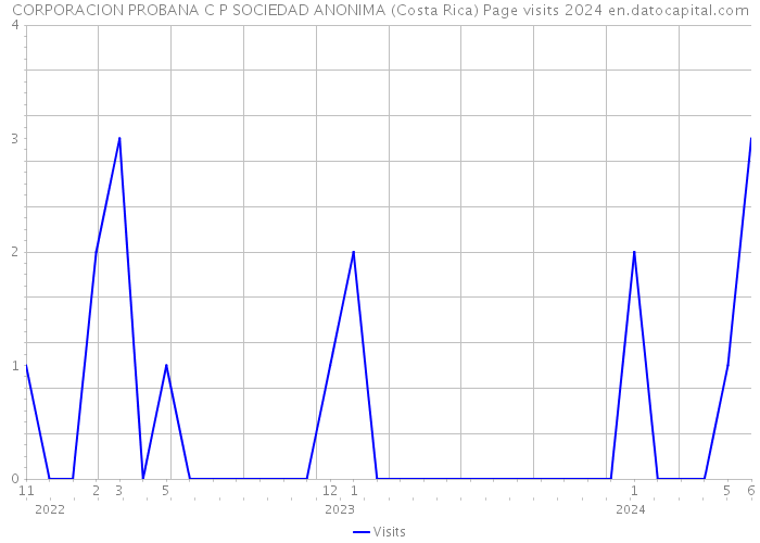 CORPORACION PROBANA C P SOCIEDAD ANONIMA (Costa Rica) Page visits 2024 