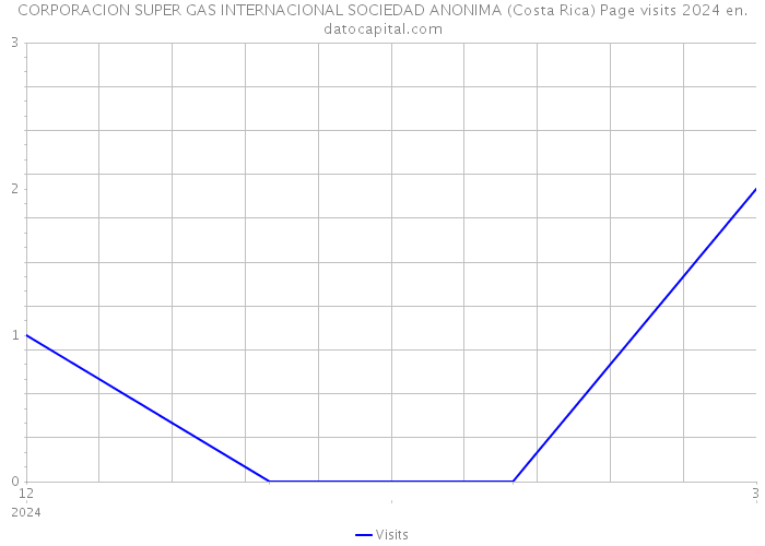 CORPORACION SUPER GAS INTERNACIONAL SOCIEDAD ANONIMA (Costa Rica) Page visits 2024 