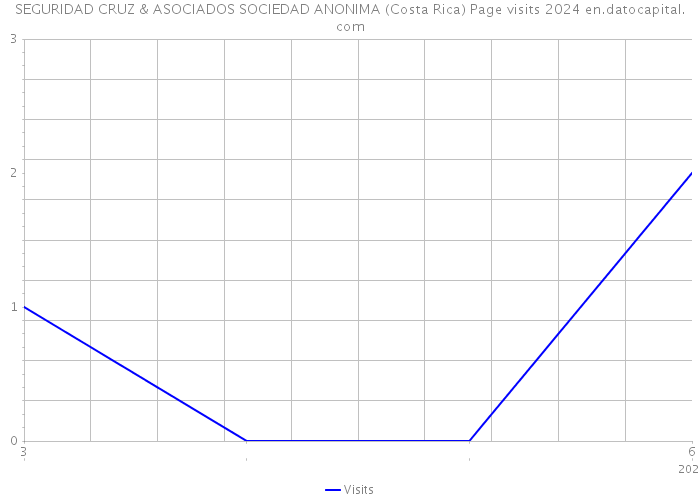 SEGURIDAD CRUZ & ASOCIADOS SOCIEDAD ANONIMA (Costa Rica) Page visits 2024 