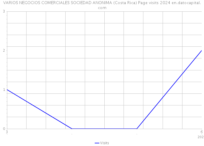 VARIOS NEGOCIOS COMERCIALES SOCIEDAD ANONIMA (Costa Rica) Page visits 2024 