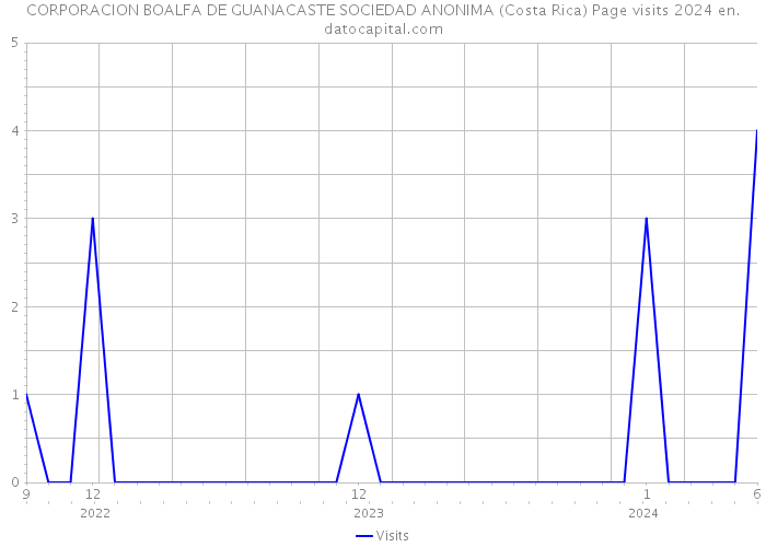 CORPORACION BOALFA DE GUANACASTE SOCIEDAD ANONIMA (Costa Rica) Page visits 2024 