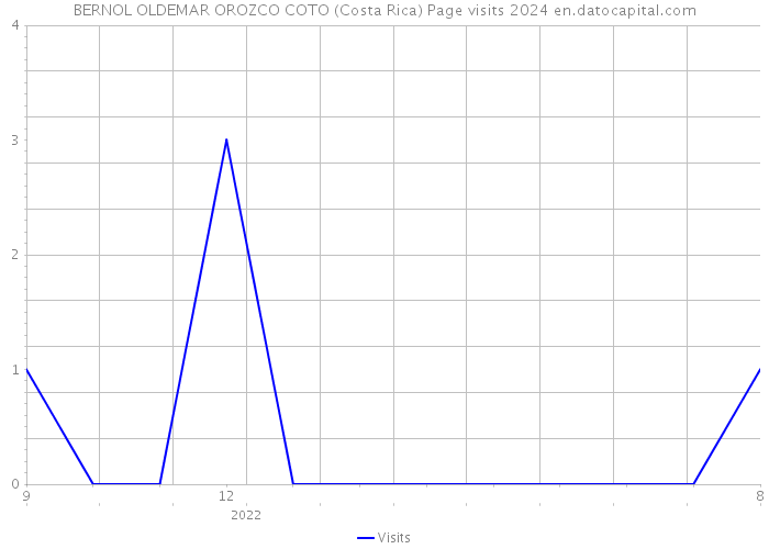 BERNOL OLDEMAR OROZCO COTO (Costa Rica) Page visits 2024 