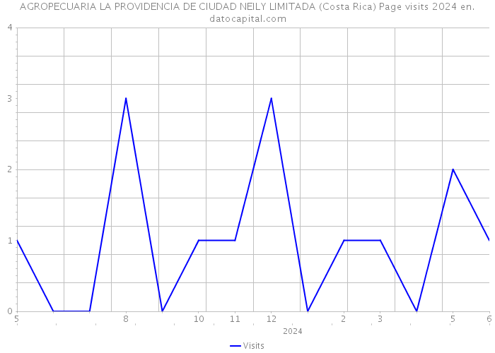AGROPECUARIA LA PROVIDENCIA DE CIUDAD NEILY LIMITADA (Costa Rica) Page visits 2024 