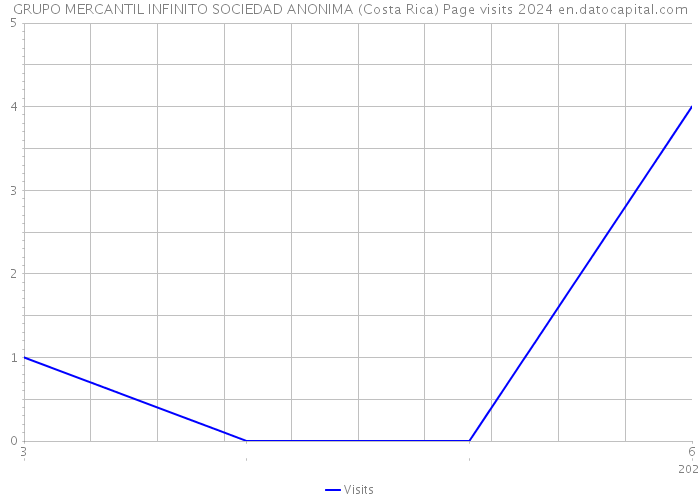 GRUPO MERCANTIL INFINITO SOCIEDAD ANONIMA (Costa Rica) Page visits 2024 