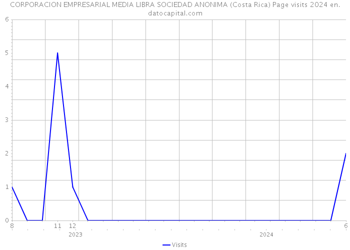 CORPORACION EMPRESARIAL MEDIA LIBRA SOCIEDAD ANONIMA (Costa Rica) Page visits 2024 