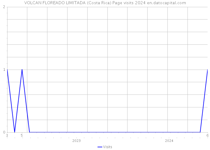 VOLCAN FLOREADO LIMITADA (Costa Rica) Page visits 2024 