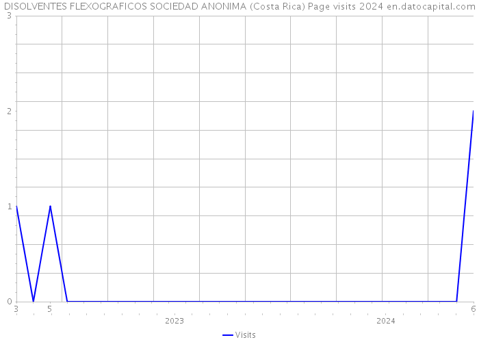 DISOLVENTES FLEXOGRAFICOS SOCIEDAD ANONIMA (Costa Rica) Page visits 2024 