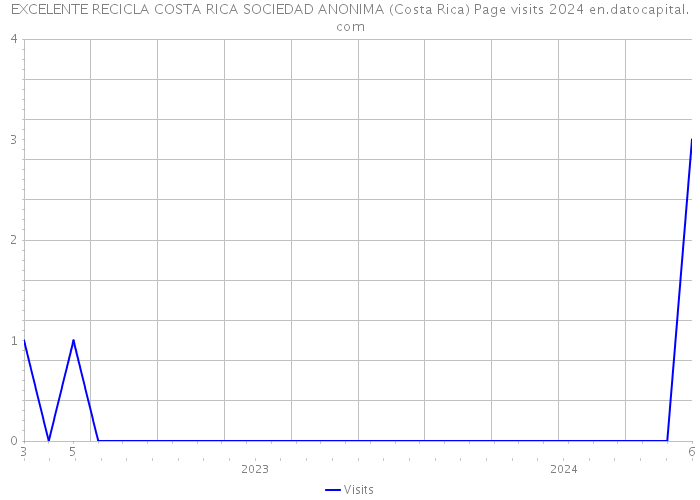 EXCELENTE RECICLA COSTA RICA SOCIEDAD ANONIMA (Costa Rica) Page visits 2024 