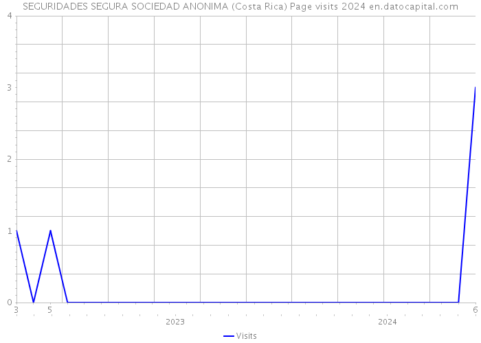 SEGURIDADES SEGURA SOCIEDAD ANONIMA (Costa Rica) Page visits 2024 