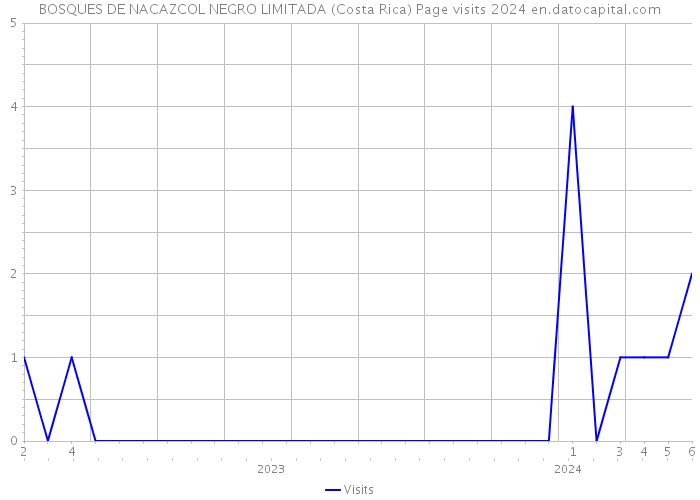 BOSQUES DE NACAZCOL NEGRO LIMITADA (Costa Rica) Page visits 2024 