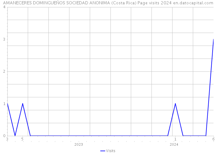 AMANECERES DOMINGUEŃOS SOCIEDAD ANONIMA (Costa Rica) Page visits 2024 