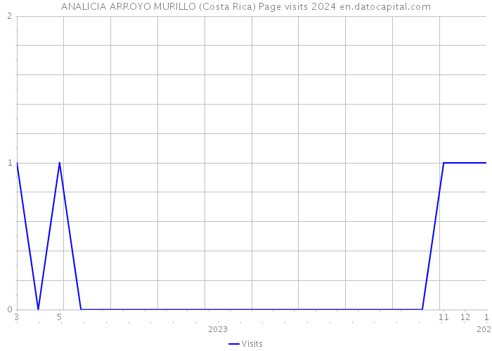 ANALICIA ARROYO MURILLO (Costa Rica) Page visits 2024 