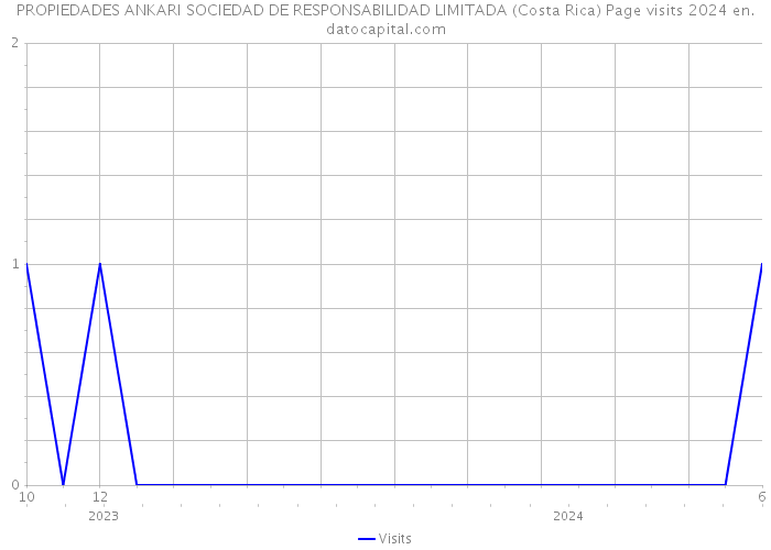 PROPIEDADES ANKARI SOCIEDAD DE RESPONSABILIDAD LIMITADA (Costa Rica) Page visits 2024 