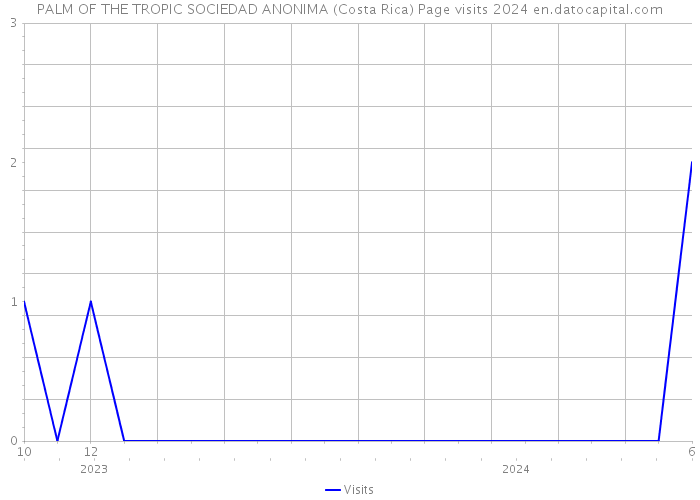 PALM OF THE TROPIC SOCIEDAD ANONIMA (Costa Rica) Page visits 2024 