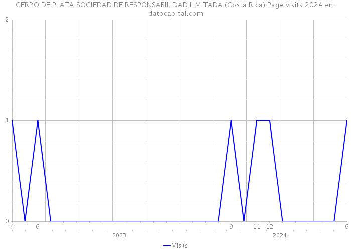 CERRO DE PLATA SOCIEDAD DE RESPONSABILIDAD LIMITADA (Costa Rica) Page visits 2024 