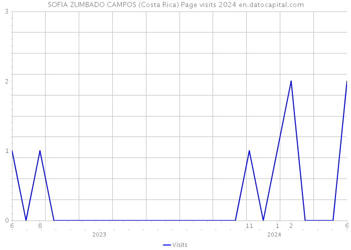 SOFIA ZUMBADO CAMPOS (Costa Rica) Page visits 2024 