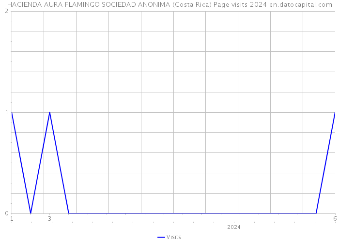 HACIENDA AURA FLAMINGO SOCIEDAD ANONIMA (Costa Rica) Page visits 2024 