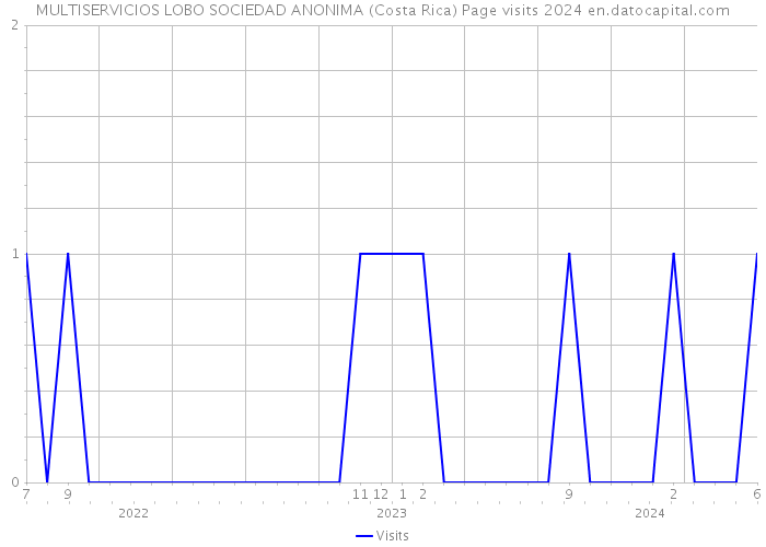 MULTISERVICIOS LOBO SOCIEDAD ANONIMA (Costa Rica) Page visits 2024 