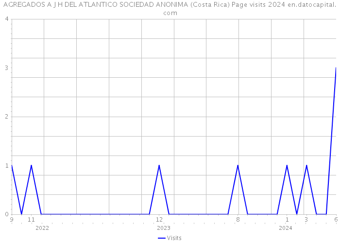 AGREGADOS A J H DEL ATLANTICO SOCIEDAD ANONIMA (Costa Rica) Page visits 2024 