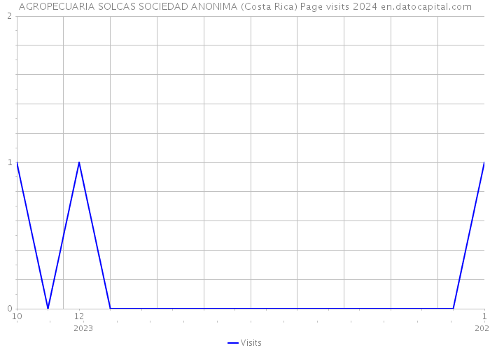 AGROPECUARIA SOLCAS SOCIEDAD ANONIMA (Costa Rica) Page visits 2024 