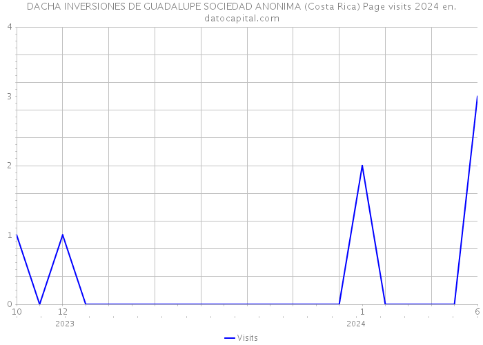 DACHA INVERSIONES DE GUADALUPE SOCIEDAD ANONIMA (Costa Rica) Page visits 2024 