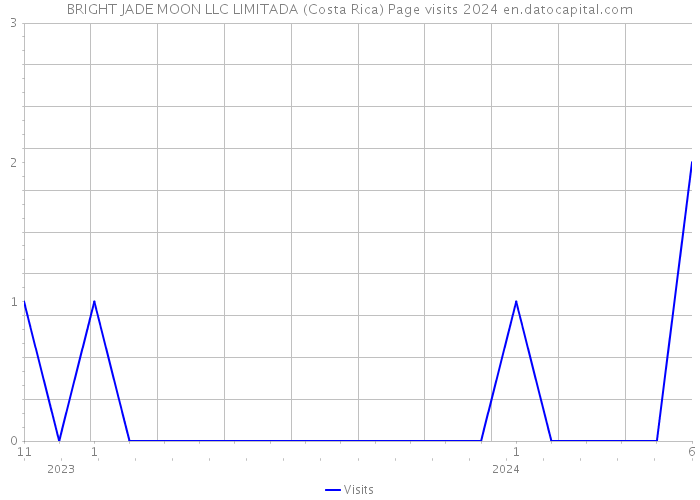 BRIGHT JADE MOON LLC LIMITADA (Costa Rica) Page visits 2024 