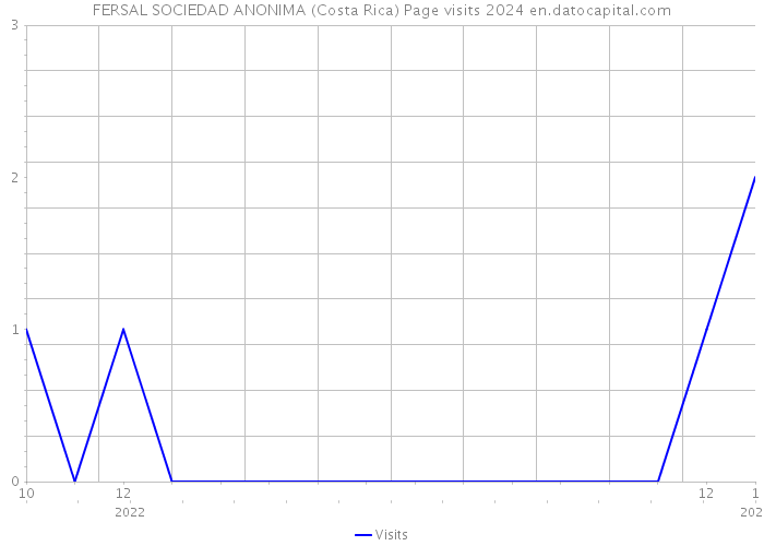 FERSAL SOCIEDAD ANONIMA (Costa Rica) Page visits 2024 