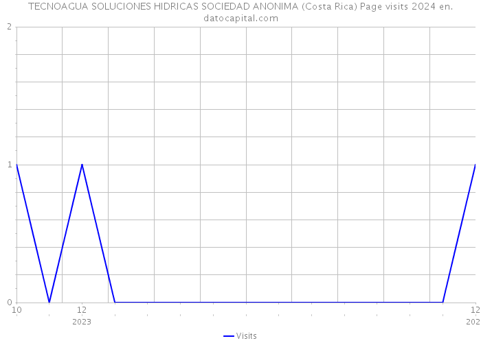 TECNOAGUA SOLUCIONES HIDRICAS SOCIEDAD ANONIMA (Costa Rica) Page visits 2024 