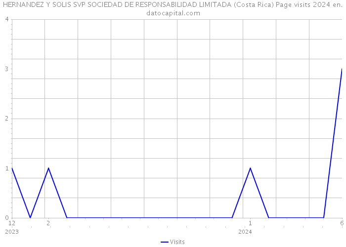 HERNANDEZ Y SOLIS SVP SOCIEDAD DE RESPONSABILIDAD LIMITADA (Costa Rica) Page visits 2024 