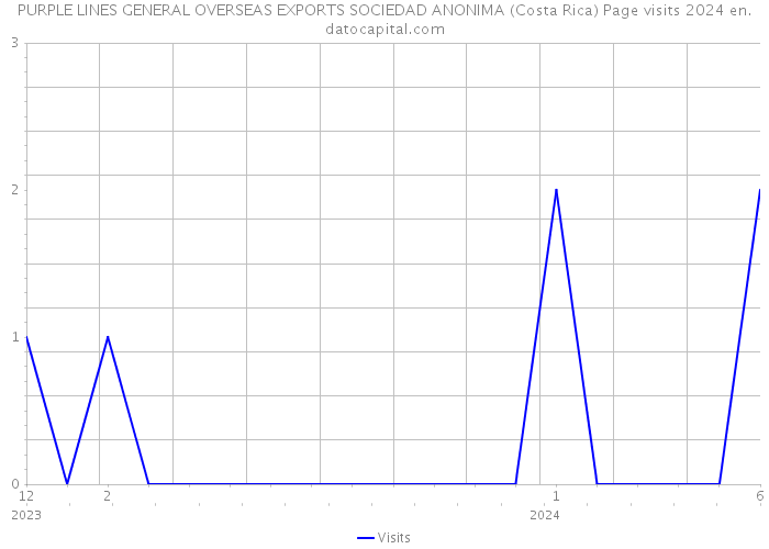PURPLE LINES GENERAL OVERSEAS EXPORTS SOCIEDAD ANONIMA (Costa Rica) Page visits 2024 