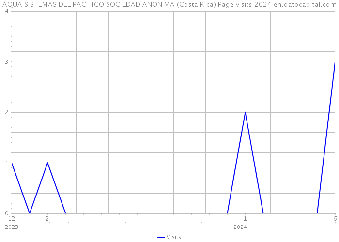 AQUA SISTEMAS DEL PACIFICO SOCIEDAD ANONIMA (Costa Rica) Page visits 2024 