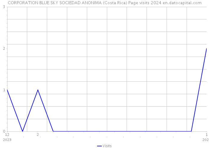 CORPORATION BLUE SKY SOCIEDAD ANONIMA (Costa Rica) Page visits 2024 