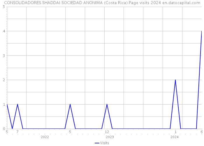 CONSOLIDADORES SHADDAI SOCIEDAD ANONIMA (Costa Rica) Page visits 2024 