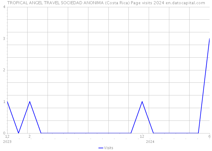 TROPICAL ANGEL TRAVEL SOCIEDAD ANONIMA (Costa Rica) Page visits 2024 