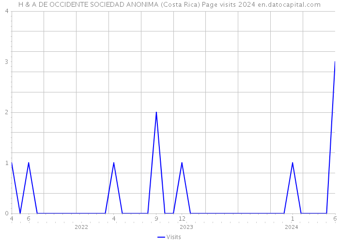 H & A DE OCCIDENTE SOCIEDAD ANONIMA (Costa Rica) Page visits 2024 